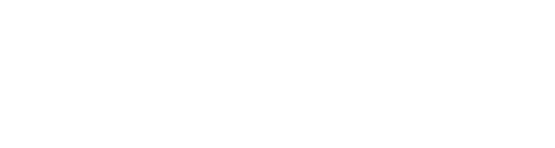 Instituto Liderante